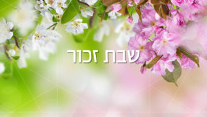 Aktuális szombatunk: az emlékezés szombatja (שבת זכור)